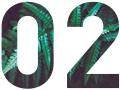 绿植免养护